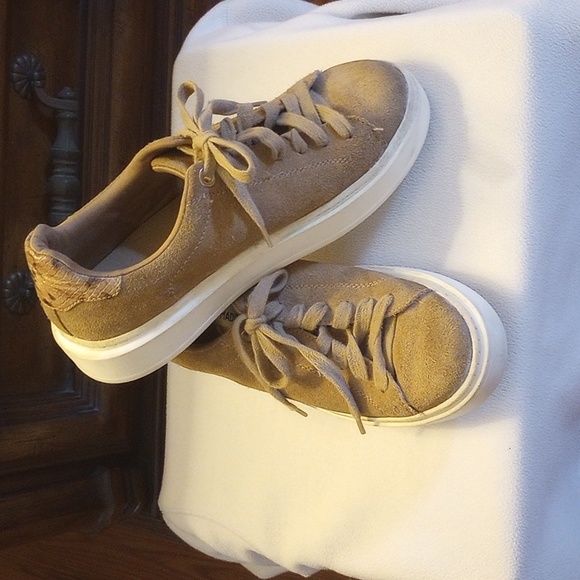 Steve Madden Shoes - Steve Madden Genuine Suede Taupe Suede Sneakers